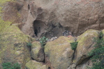 photo thumbnail #9