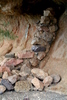 photo thumbnail #11