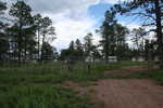 photo thumbnail #15