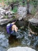 photo thumbnail #8