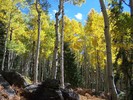 photo thumbnail #5