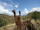 photo thumbnail #11