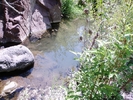 photo thumbnail #8
