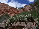 photo thumbnail #8