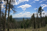 photo thumbnail #10