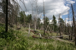photo thumbnail #11