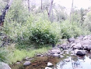 photo thumbnail #2