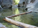 photo thumbnail #8