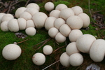 photo thumbnail #3