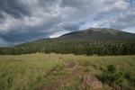 photo thumbnail #11