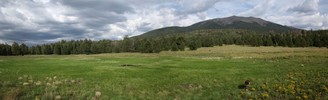 photo thumbnail #15