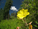 photo thumbnail #10