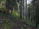 photo thumbnail #3