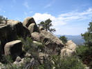 photo thumbnail #2