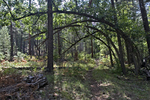 photo thumbnail #15