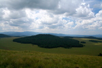 photo thumbnail #10