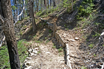 photo thumbnail #6