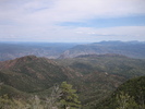 photo thumbnail #4
