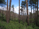 photo thumbnail #8