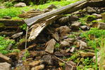 photo thumbnail #10