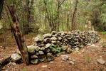 photo thumbnail #12