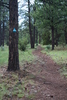 photo thumbnail #6