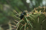 photo thumbnail #15