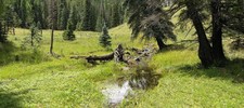 photo thumbnail #7