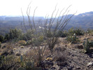 photo thumbnail #11