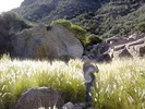 photo thumbnail #8