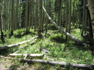 photo thumbnail #3