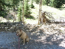 photo thumbnail #5