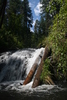 photo thumbnail #10