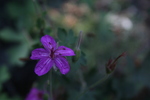 photo thumbnail #11