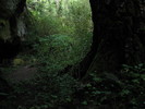 photo thumbnail #15