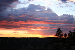 photo thumbnail #13