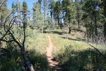 photo thumbnail #6
