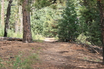 photo thumbnail #1