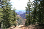 photo thumbnail #6