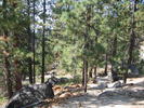 photo thumbnail #1