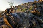 photo thumbnail #4