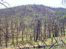 photo thumbnail #12