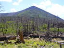 photo thumbnail #15