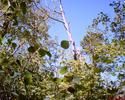 photo thumbnail #14