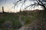 photo thumbnail #1