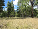 photo thumbnail #11