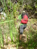 photo thumbnail #3