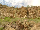 photo thumbnail #5