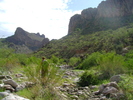 photo thumbnail #13