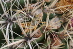 photo thumbnail #2